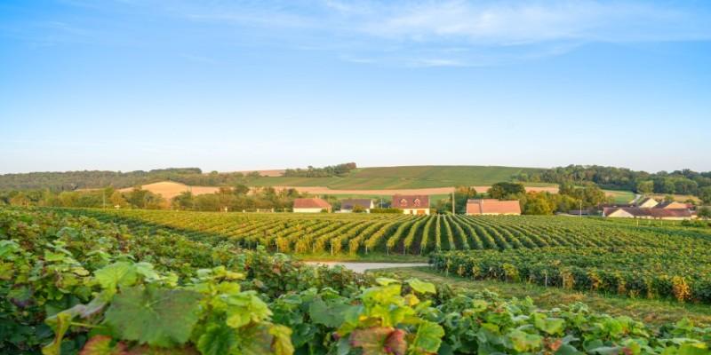 Spending Two Days in France’s Champagne Countryside: What Actually Shapes the Experience